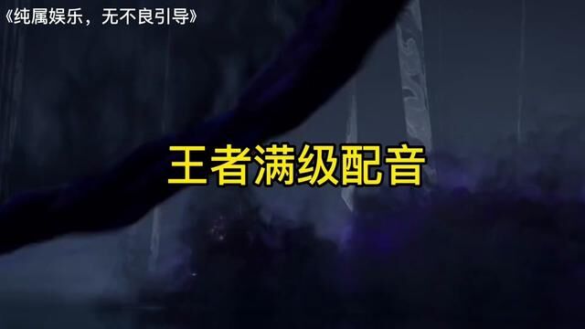 那些满级王者配音,司空震直接封神. #声优都是怪物 #搞笑配音 #王者 #一人一句英雄台词