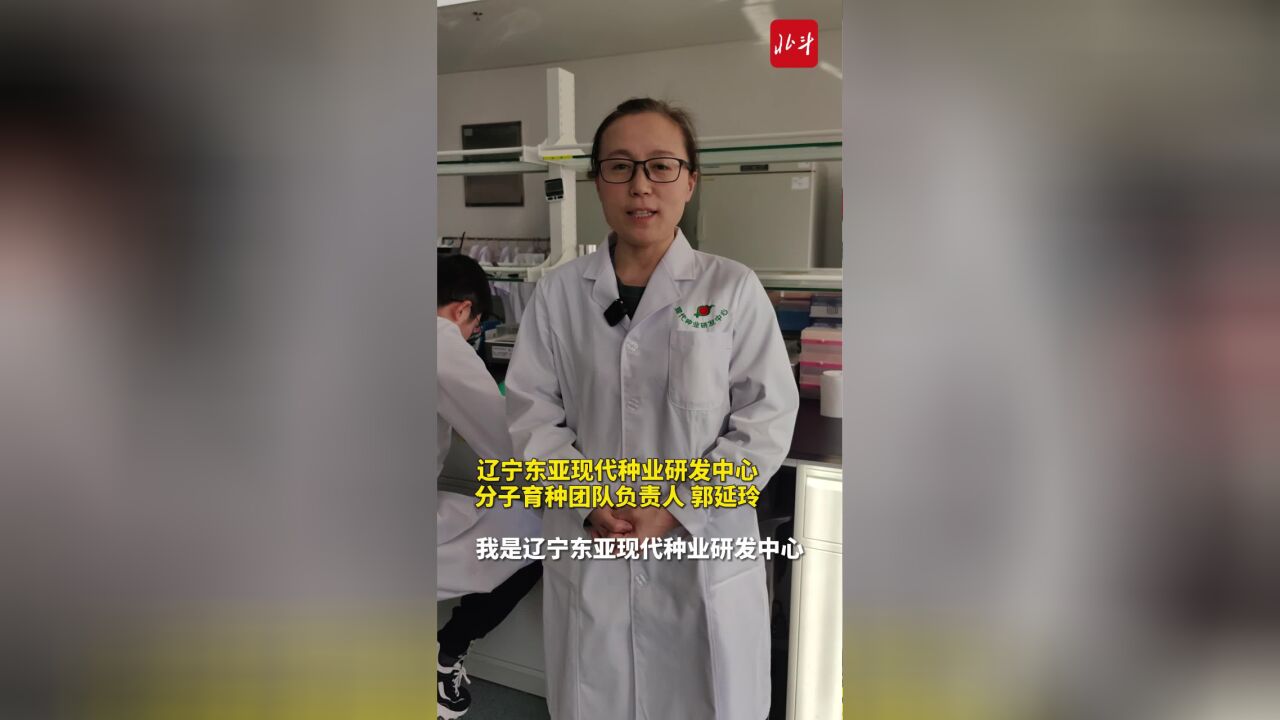 新“辽沈战役” 首战用我丨做好分子育种 做强农业芯片