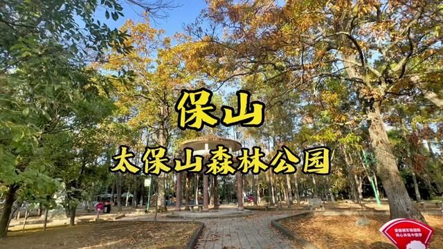 保山太保山森林公园环境优美空气清新,山顶建有西南第二大的武侯祠还有一位沉睡多年的老将军#记录真实生活 #vlog日常