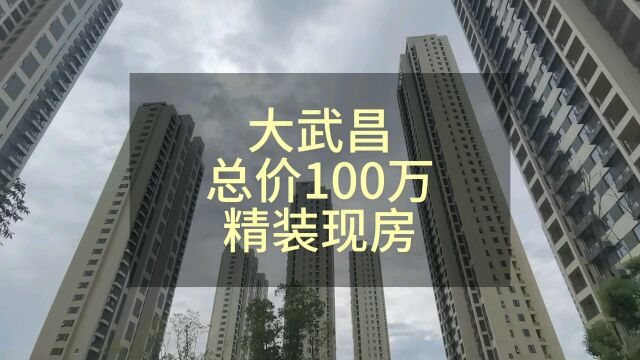 大武昌,总价100W的精装现房