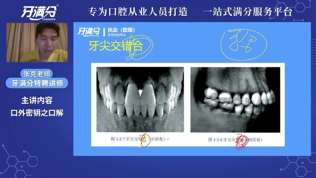 【执业/助理】基础精讲口解——牙尖交错合