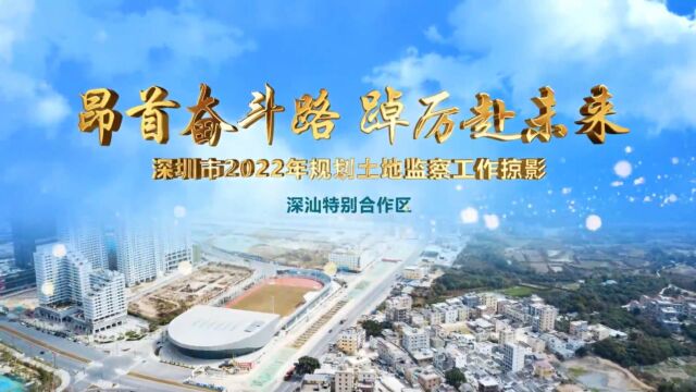 深圳规划土地监察:奋楫争先“在一线”(深汕篇)