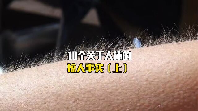 10个关于人体的惊人事实#寻找1000位科普达人