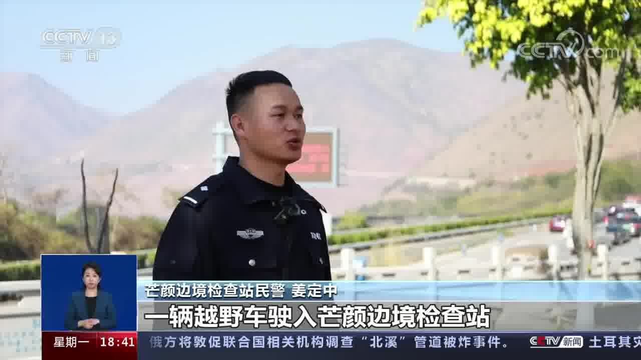 战功赫赫 15只警犬获评首批“功勋犬”