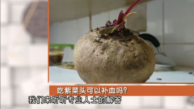 吃紫菜头可以补血吗?听听专业人士怎么说!