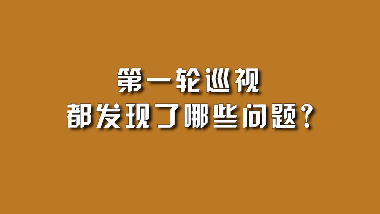 第一轮巡视,都发现了哪些问题?