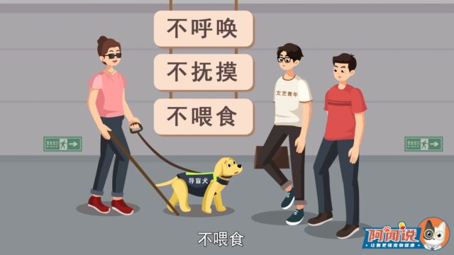 导盲犬:做到这3点就是在接纳我!