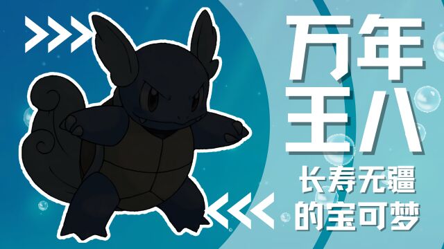 【下饭宝可梦008】 万年王八 长寿无疆|卡咪龟 Wartortle