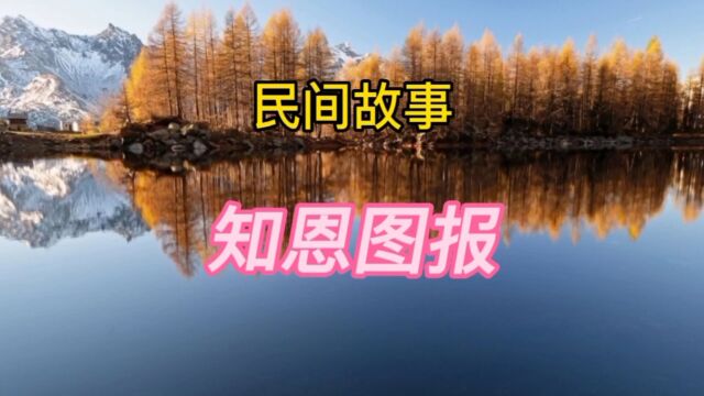 民间故事:知恩图报(全集)