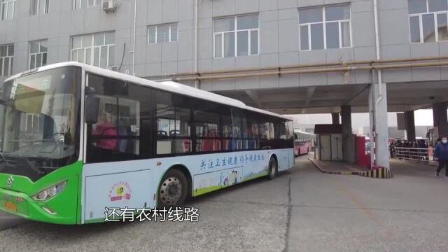 掐点乘公交 石家庄42条“准点线路”正式运行