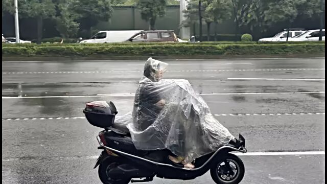 第14号台风“小犬”生成!可达强台风级,或影响我国沿海