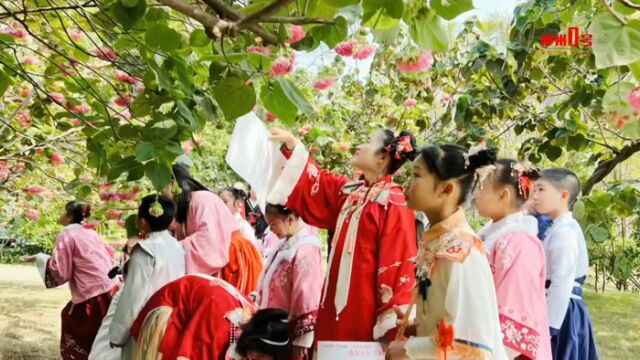 广西,全国第二!了不得!快来柳州走一波~