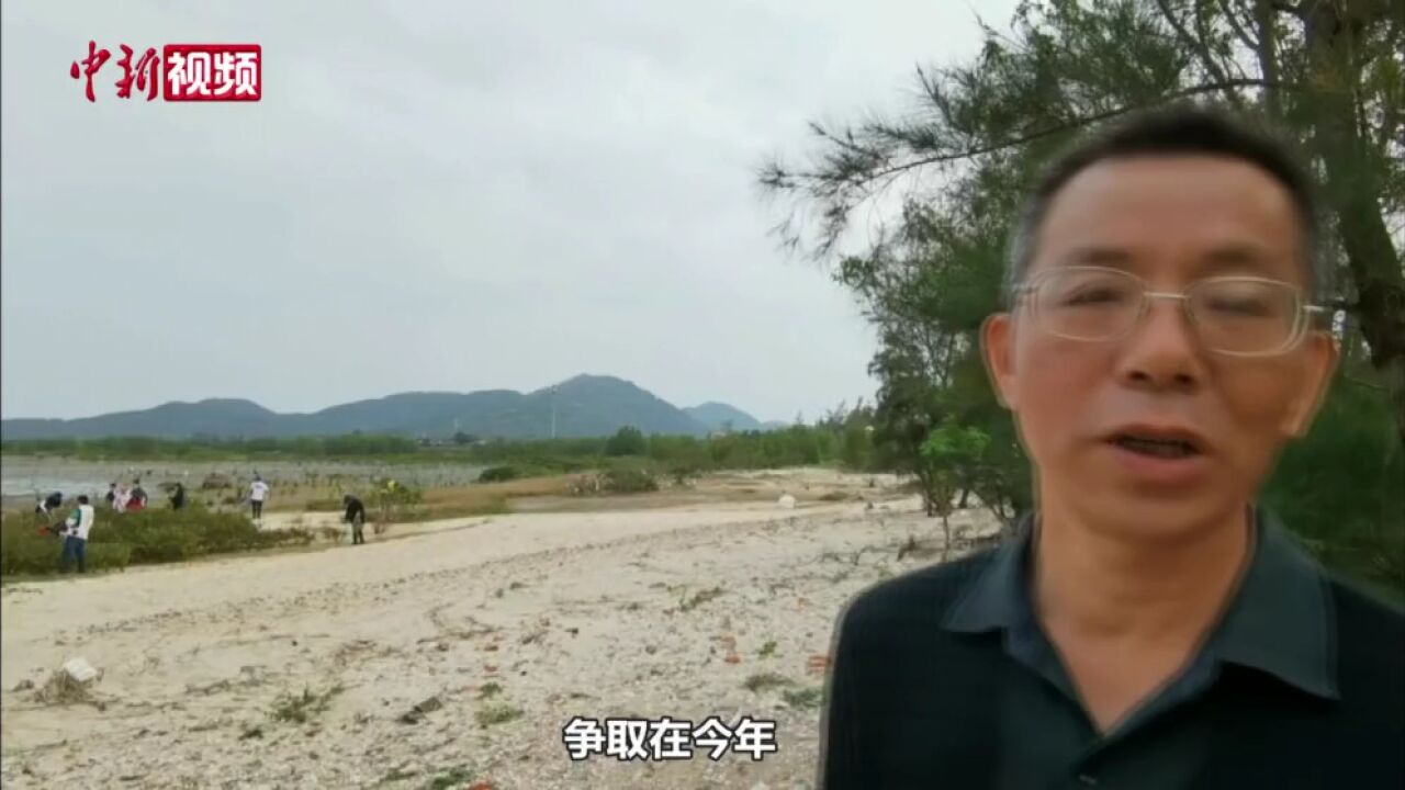 广东阳江海陵岛生机勃勃湿地保护修复加快