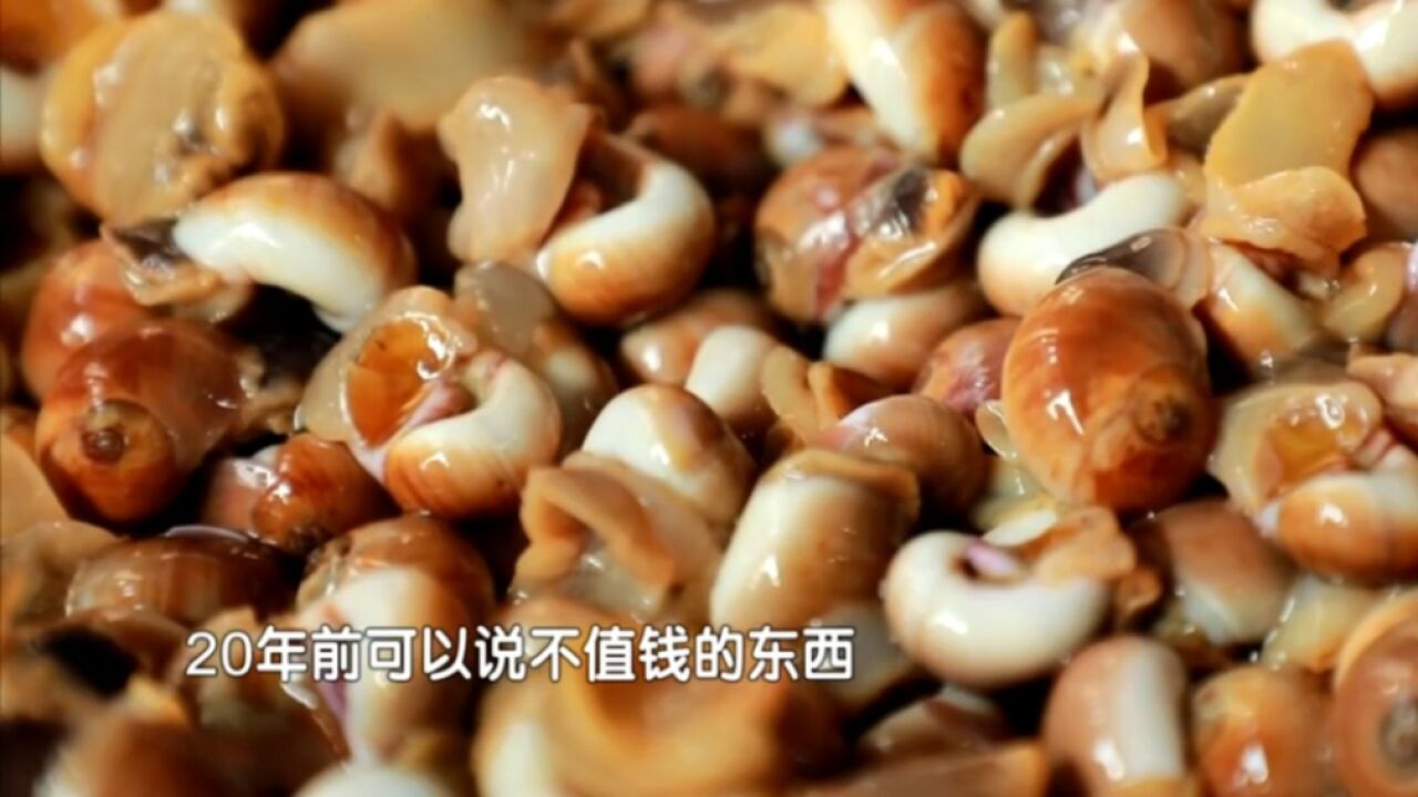 大集上的畅销海货,还有各种贝类!眼下是最佳品鲜期