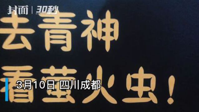 四川青神萤火虫上新!又到了野外看萤火虫的浪漫季节