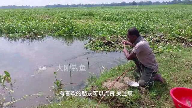 老外又来用木棍钓鱼了,简单又实惠啊