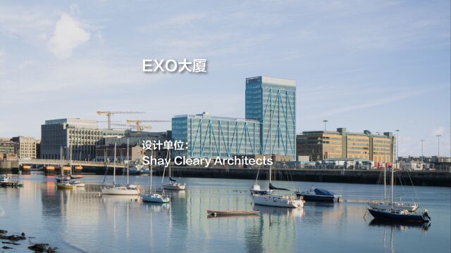 EXO大厦 | Shay Cleary Architects