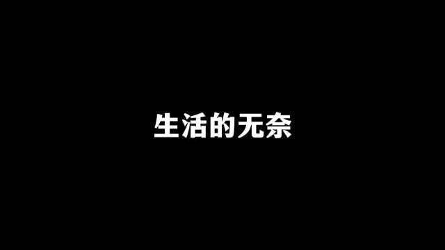 生活的无奈,说出了多少人的心声