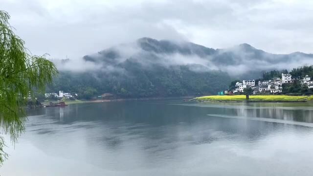 这里夹江两岸,绵延百里,群山蜿蜒,江水清澈透明,景色秀美,故曰山水画廊#新安江山水画廊 #自驾游 #老唐带你游皖南