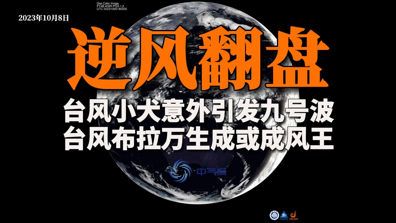 逆风翻盘!台风小犬意外引发九号波,台风布拉万生成或成风王