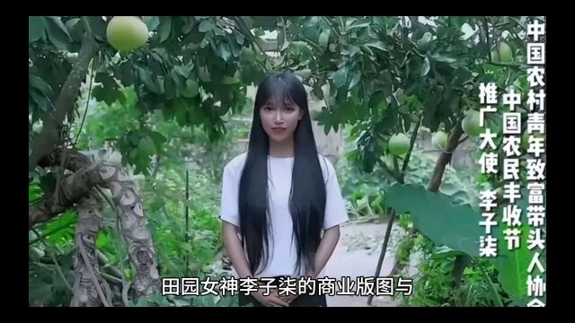 李子柒商业版图盘点