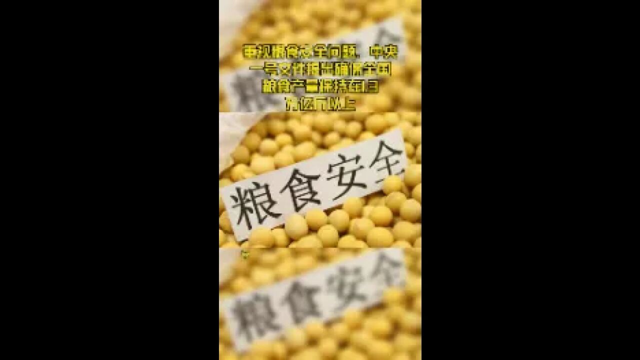 重视粮食安全问题,中央一号文件提出确保全国粮食产量保持在1.3万亿斤以上