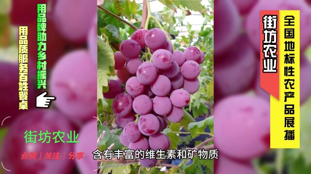 山东贾寨葡萄是地标性农产品