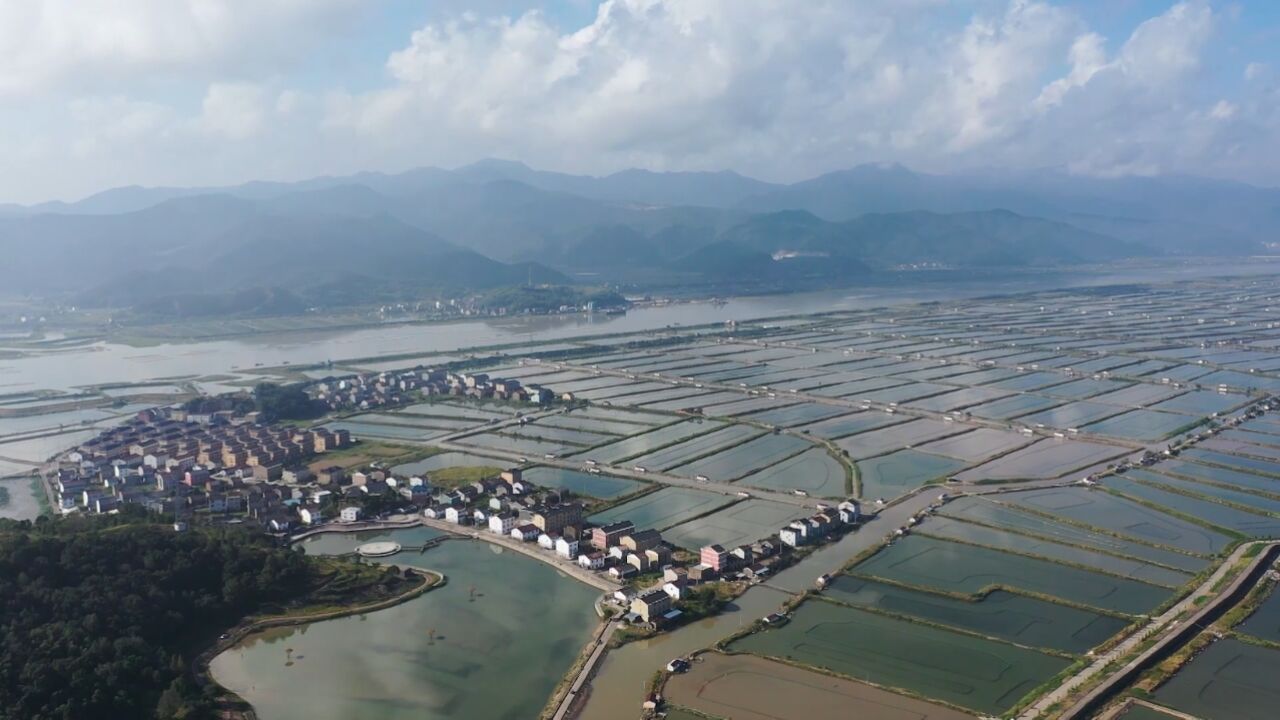 浙江台州|电力指数升级赋能乡村振兴