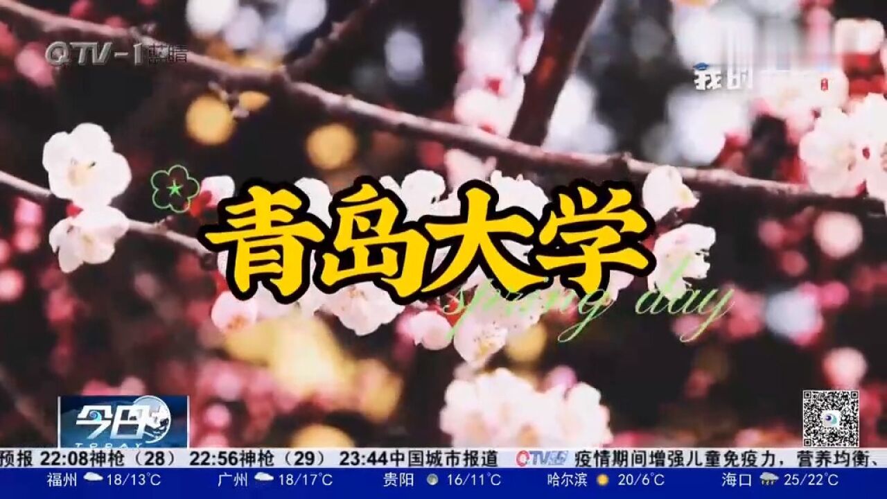 “校花带你看校花”走进青岛大学,看青大学子的专属梦幻