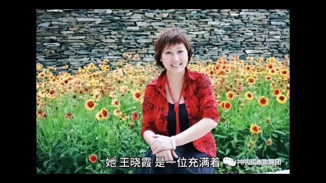 中央民族歌舞团词作家王晓霞心系各族人民