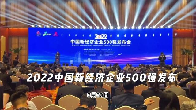 2022中国新经济企业500强发布