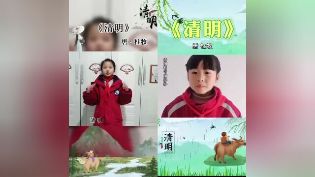 “缅怀先烈志,共铸中华魂”——洋河新区美人泉小学开展清明节主题系列活动