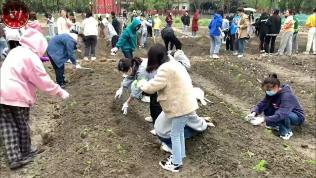 四川音乐学院2022年首届劳动实践视频创作大赛成功举办