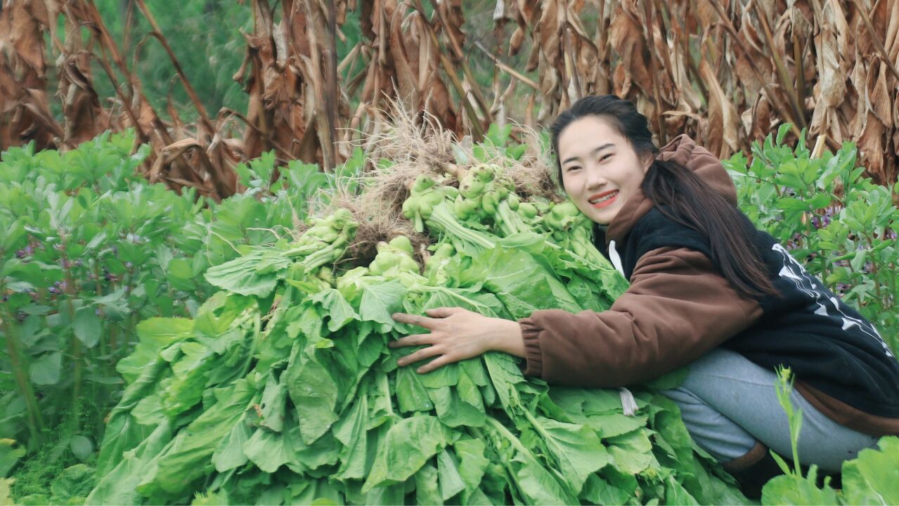 榨菜成本这么高?70斤压出来居然只有1斤!