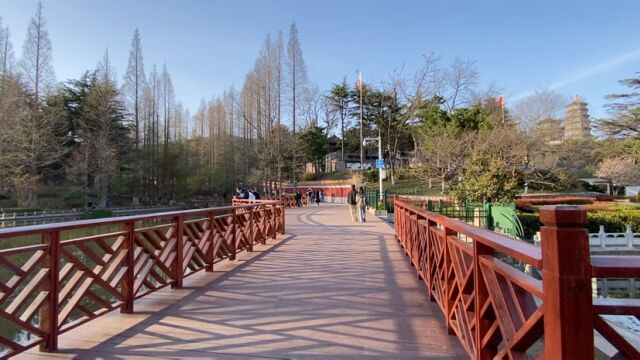 青岛湛山寺景区