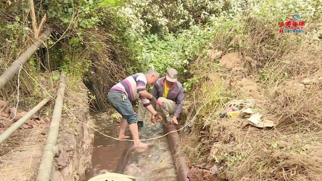 抗旱保民生丨建供水站、挖集水池……大家在行动