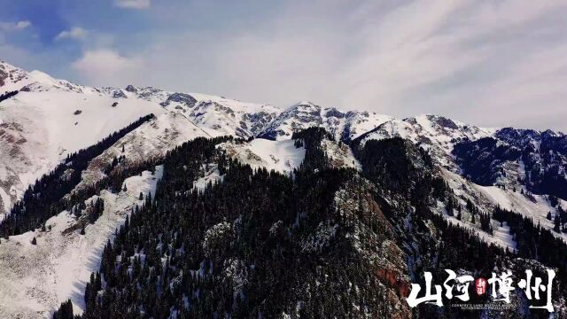 畅游绿水青山间~博州生态旅游受追捧