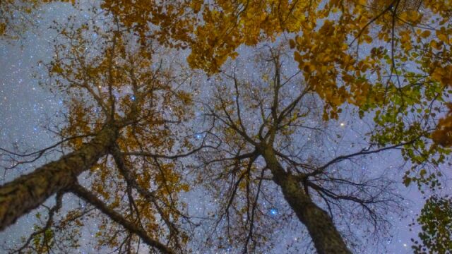 秋高气爽 繁星点点!20秒延时摄影带你仰望秋日的静谧星空