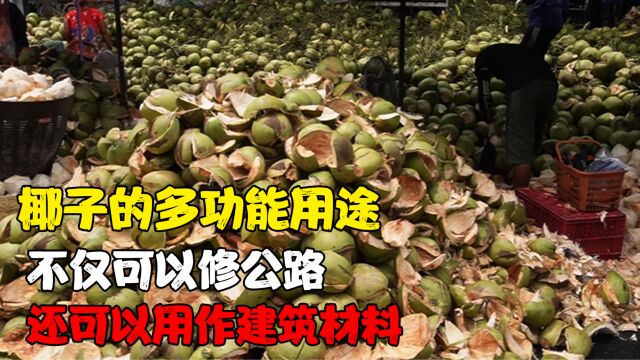 椰子的多功能用途,不仅可以修公路,还可以用作建筑材料.