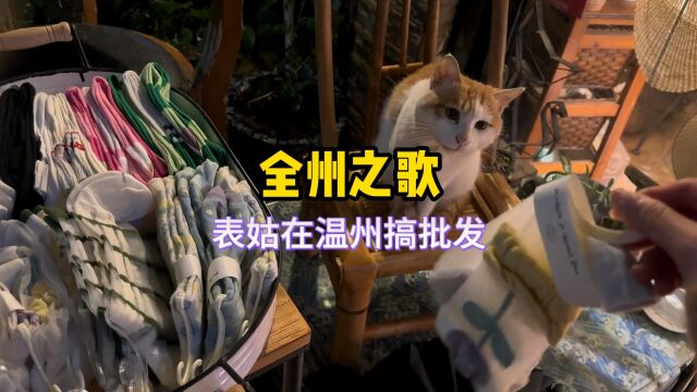 《全州之歌》猫咪版,你在哪个州呢?