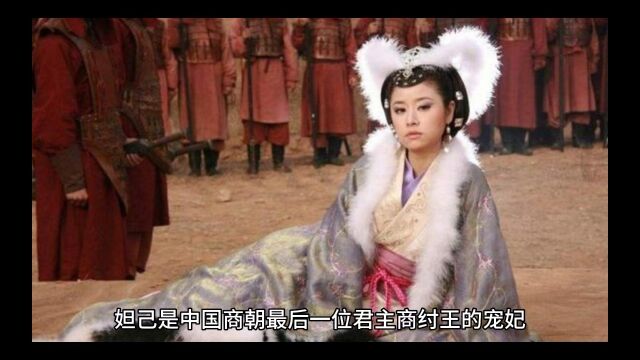 妲己是一个真人吗?