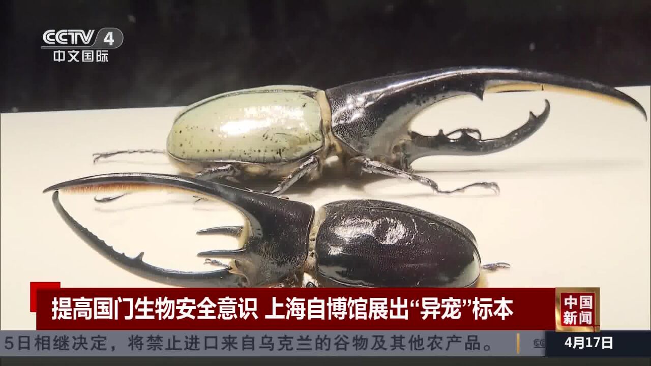 提高国门生物安全意识 上海自博馆展出“异宠”标本