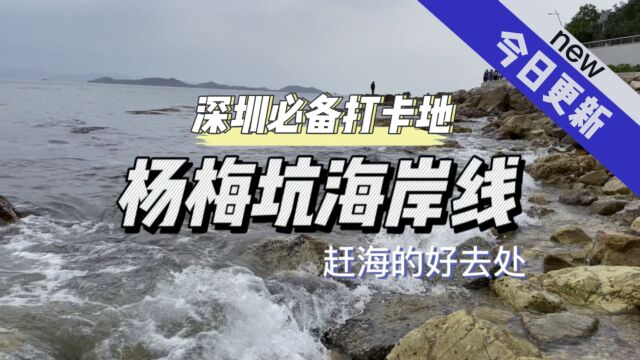 深圳必备打卡地杨梅坑海岸线,赶海的好去处!