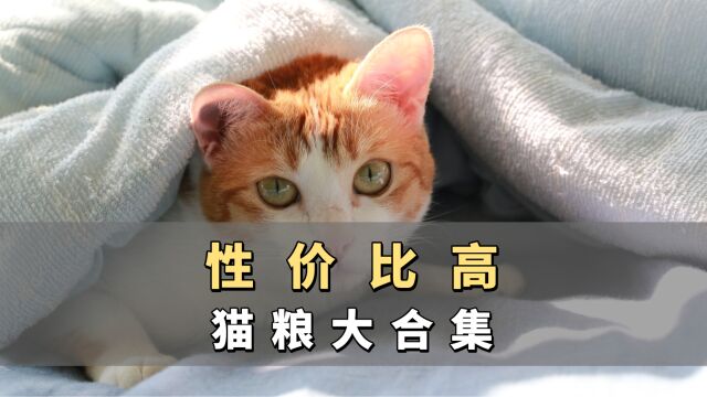 毫不夸张,这是我见过性价比最高的猫粮