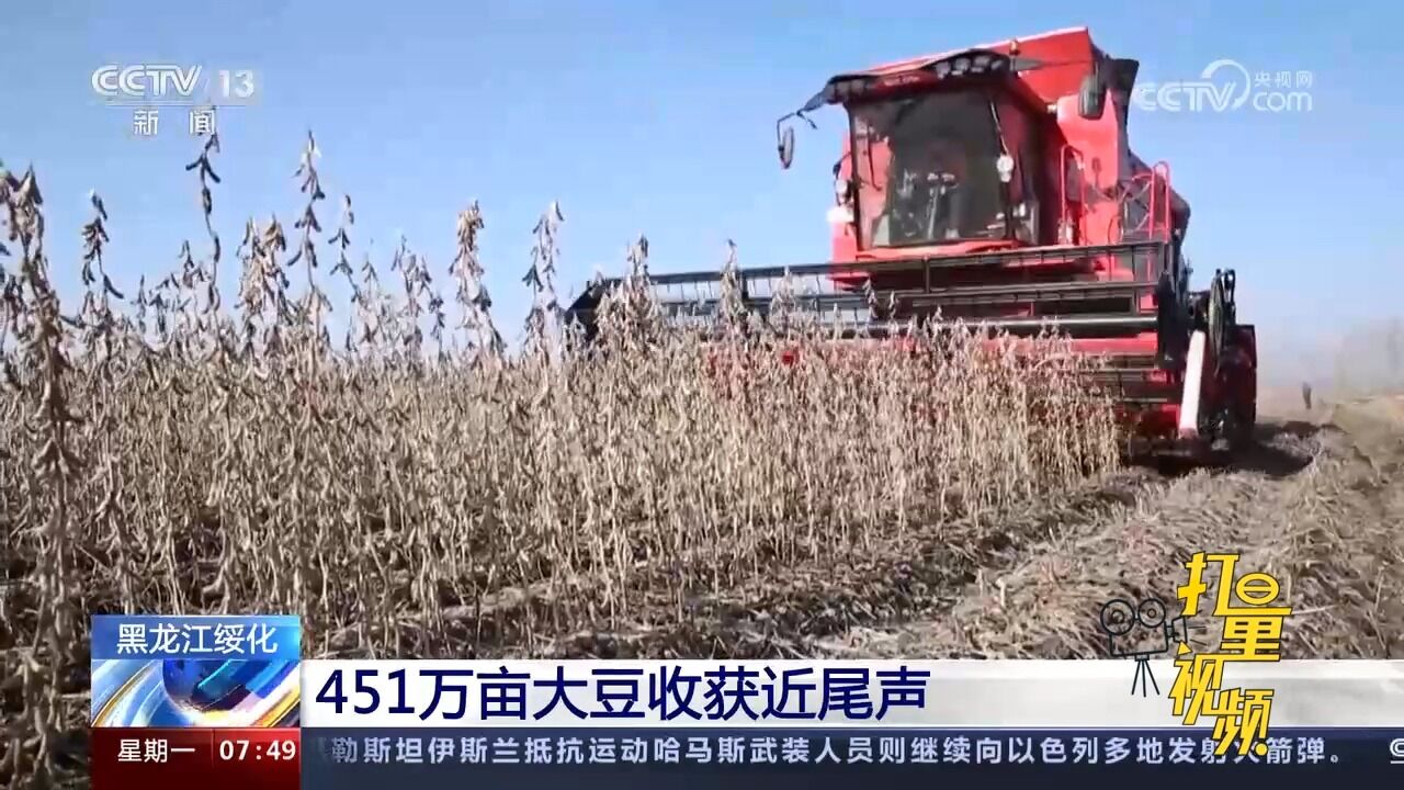 黑龙江绥化451万亩大豆收获近尾声,一派喜人丰收场景