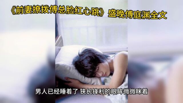 《前妻撩拨傅总脸红心跳》盛晚傅庭渊小说【完整全文】