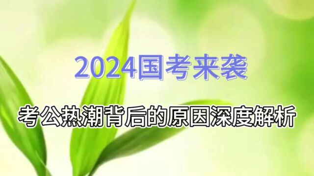 2024国考热潮揭秘:考公为什么如此吸引人?