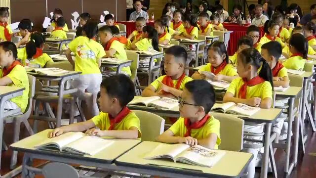 全国小学语文青年教师课堂教学观摩活动【19节】(第一辑)