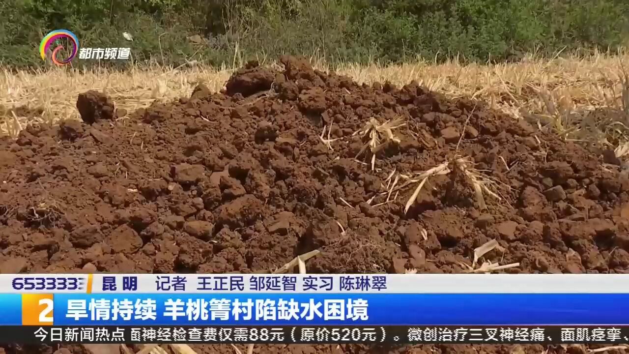 旱情持续 羊桃箐村陷缺水困境