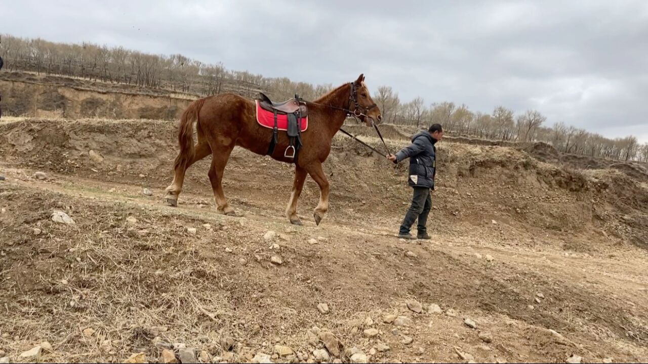 内蒙古深山只住6户的小村,牛羊成群策马奔腾,这真是世外桃源